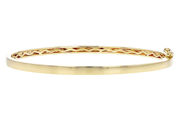 H319-09010: BANGLE (D235-41765 W/ CHANNEL FILLED IN & NO DIA)